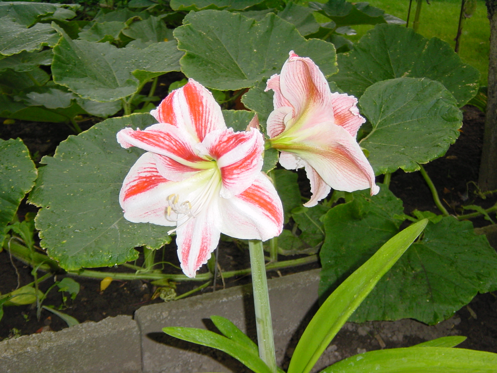 DSC00057